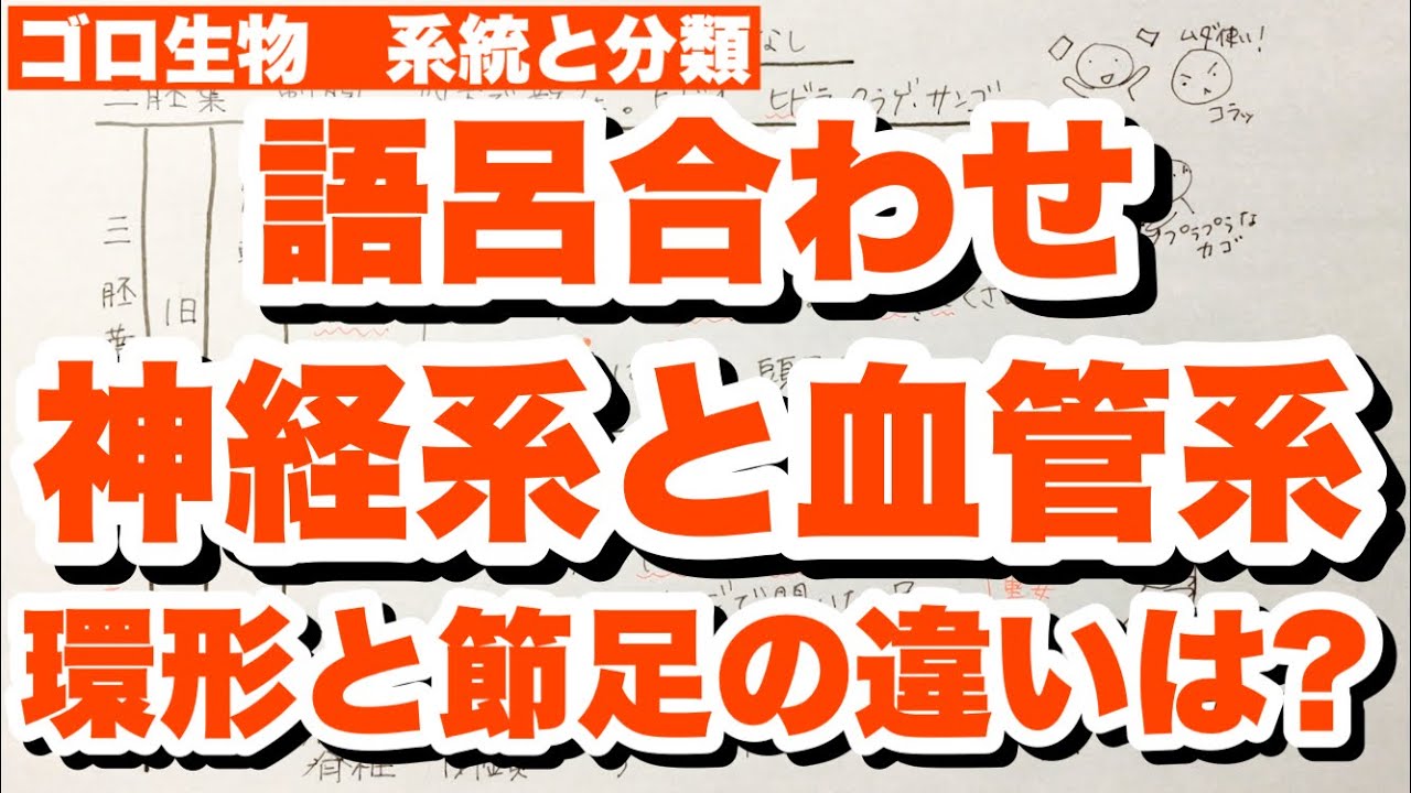 かご の 神経 クリニック