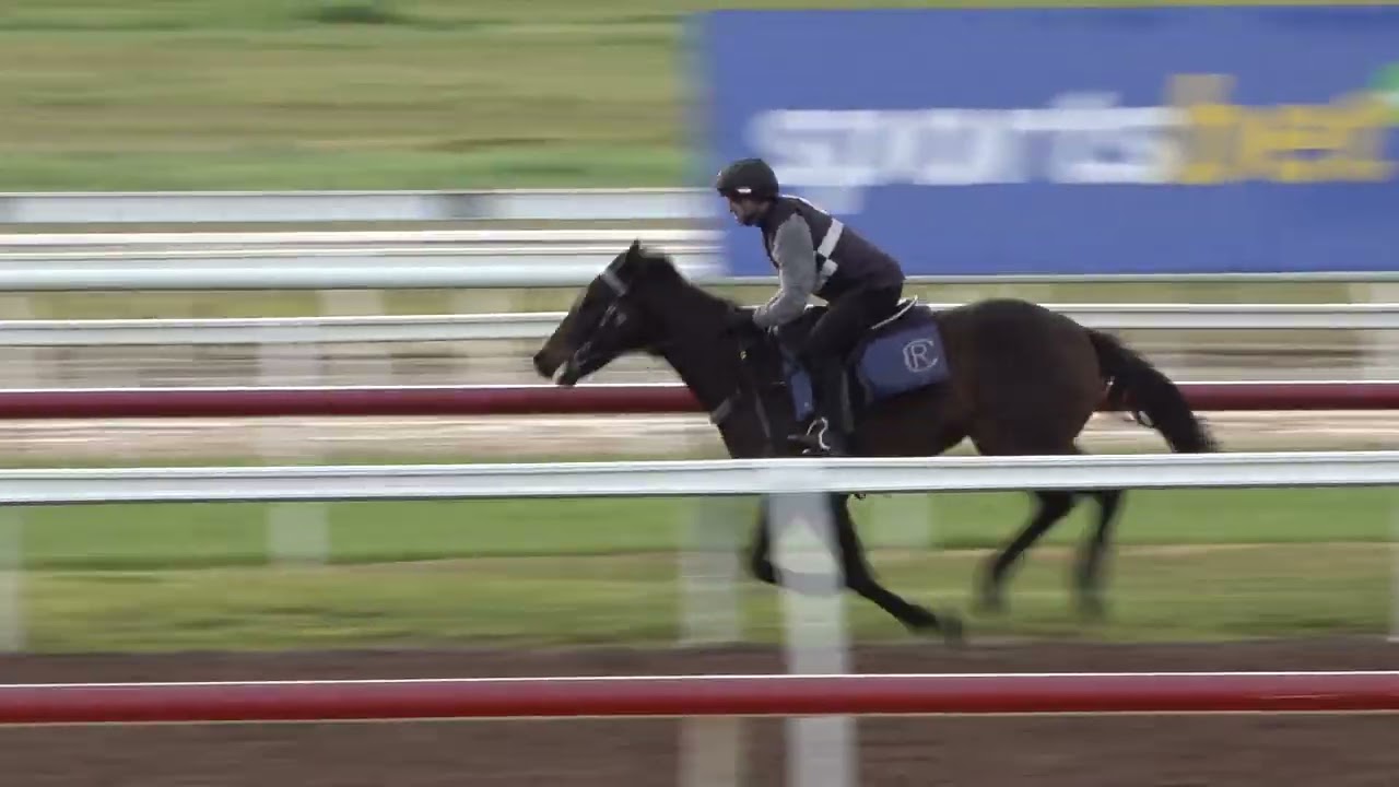 Encryption x Giroux Colt Pre training Update YouTube