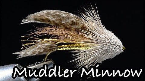 Muddler Minnow Fly Tying Instructions by Charlie Craven