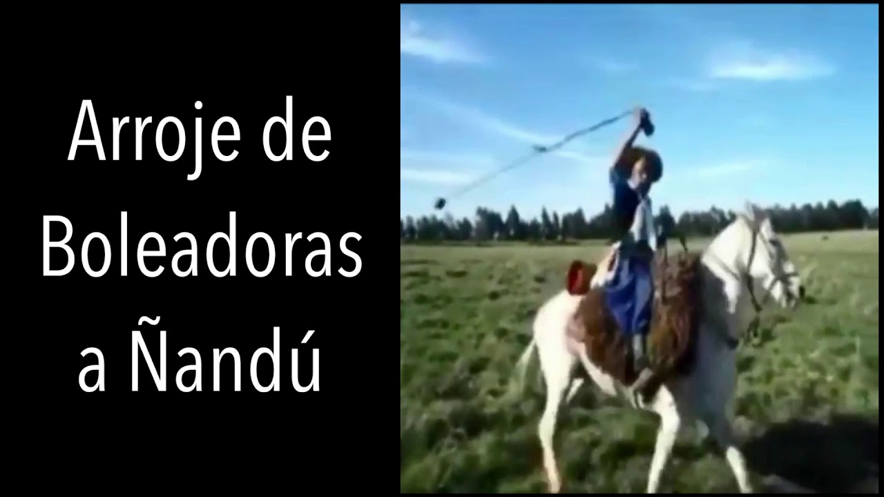 Arroje de Boleadoras montado cazando ñandú...Instastories