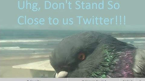 Surfline.com Hacked!