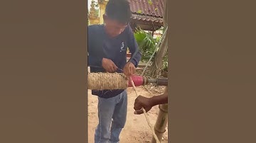 Beef tendon straw rope making process  Good tools and machinery can increase work efficiency