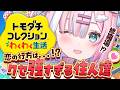 【トモコレ】恋の行方は…!?今日もクセ強住人たちを見守る🏝️住人アイデア待ってます!【#星乃りむ #ミクスト】