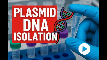 Plasmid DNA Isolation