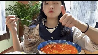 Living With My Cats, Am I Addicted to Kimchi Jjigae? 