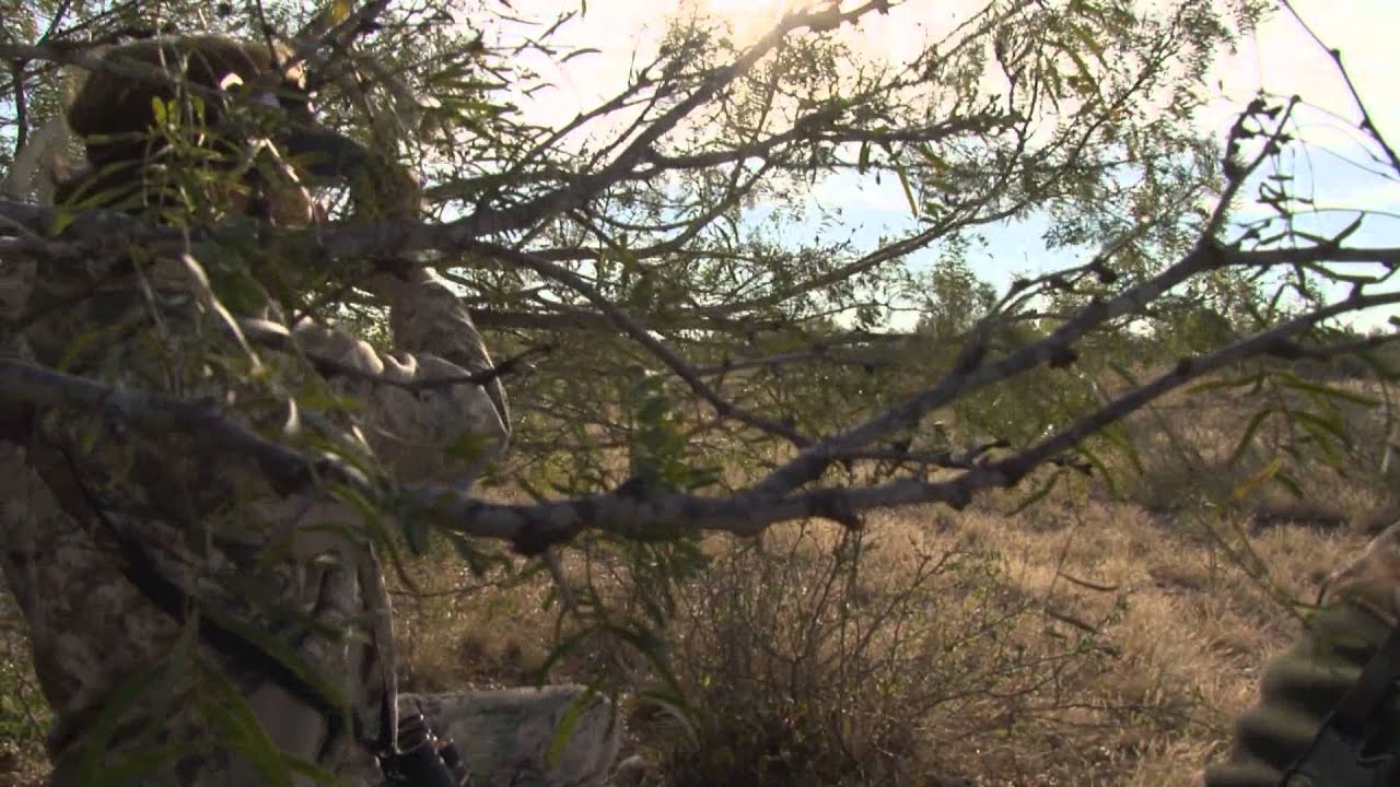 Cabela's Real Rack Rattling Antlers YouTube