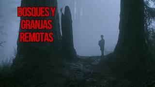 Perdido en el BOSQUE : 6 Relatos de terror en lugares remotos