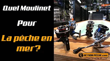 Quel moulinet Shimano pour la mer ?