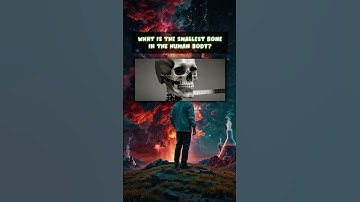 Only Science Geniuses Can Get All 6 Right! 🧪🔬