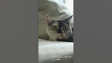 Life Lessons Learned with Age