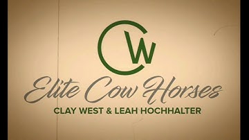 Hottish Hattie - Cow Work