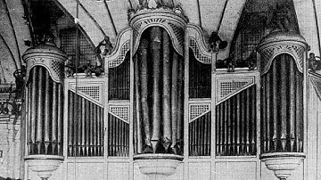Tuning Options for Physis Organs