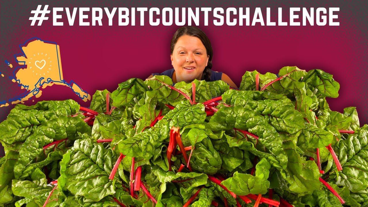 Alaska Cabin Pantry - what to do with too many Greens 