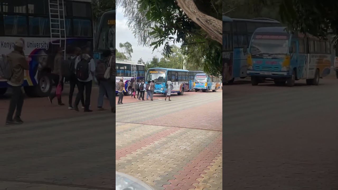 Mount Kenya university 