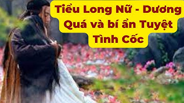 Tiểu Long Nữ - Dương Quá và bí ẩn Tuyệt Tình Cốc