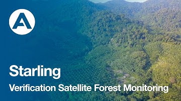 Starling Verification Satellite Forest Monitoring