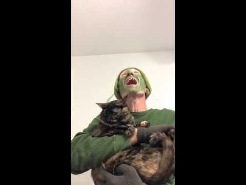 Βίντεο: Πώς να εντοπίσετε εάν η γάτα σας έχει πρόβλημα αυτιού