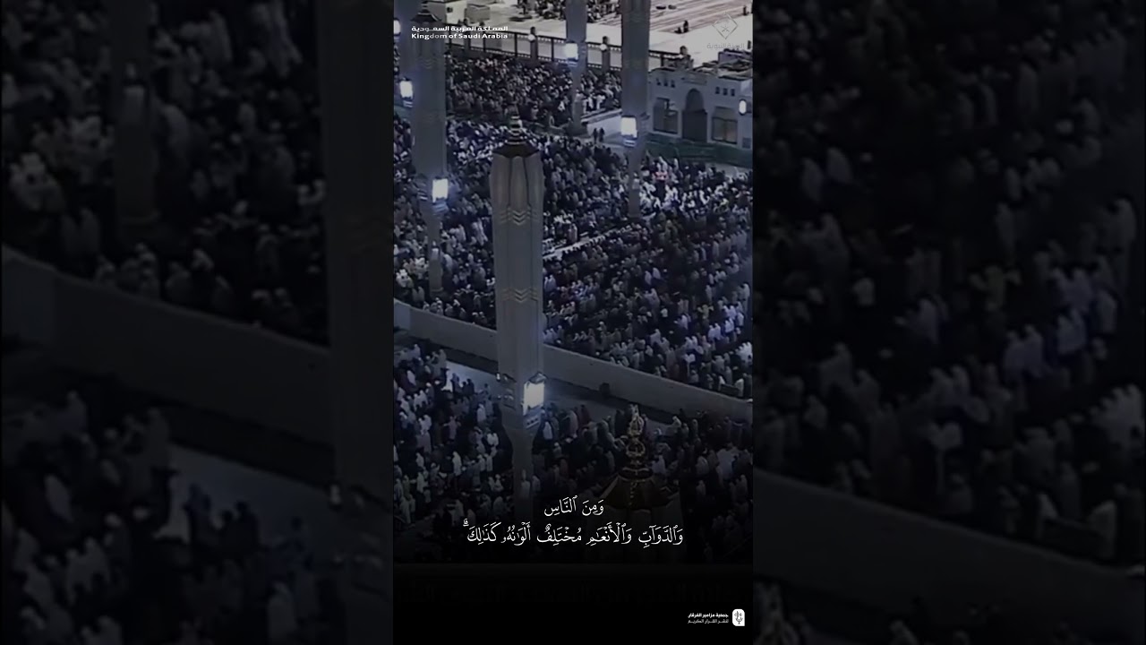 مقتطف من تلاوة فضيلة الشيخ #أحمد_بن_طالب من صلاة الفجر 4 شعبان 1446هـ