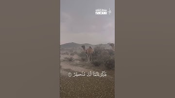 تلاوة من #سورة_الغاشية آية ١٧-٢٦ القارئ فضيلة الشيخ #ماهر_المعيقلي