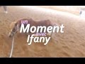 Un moment avec nous n1 ifany