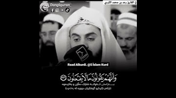رعد الكردي ماتيسر من سورة الشعراء تلاوة جميلة جدا جدا حالات وتس آب صوت جميل