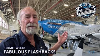 P-51D, GRUMMAN DUCK - “FABULOUS FLASHBACKS” - Episode #3