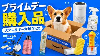 プライムデーで買ったもの全部紹介！【犬アレルギー対策】