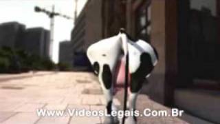 vaca louca remix.wmv