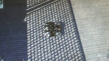 cod 6 mw2 glitches terminal