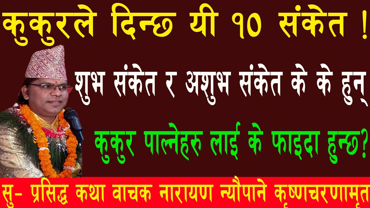 कुकुरले दिन्छ यी १० संकेत !शुभ संकेत र अशुभ संकेत के के हुन् कुकुर पाल्नेहरु लाई के फाइदा हुन्छ?