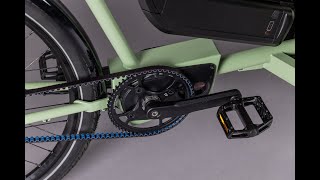 Hagen Bikes Introduction To Brose S Mag Controller