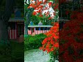 Temple 😍❤️Village photography #villagelife #photography #nature #sonyalpha #farmer #shorts