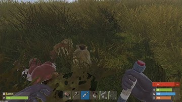 banned from rustafied small. upload for owner/admin