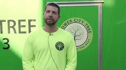 Arborists in Rochester NY, details at YellowPages.com