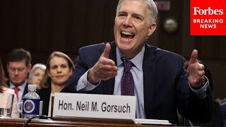 'Isn’t That A Little Awkward Though?': Gorsuch Pushes Back On Lawyer