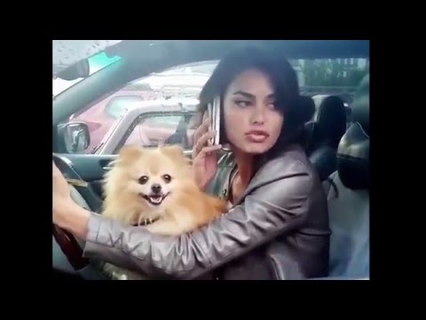Блондинка за рулём