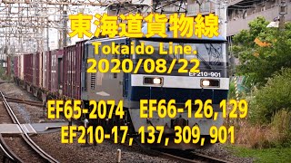 【4K貨物】2020/08/22 東海道貨物線 EF65-2074 EF66-126,129 EF210-17, 137, 309, 901 6時台(Tokaido Line. 4K)