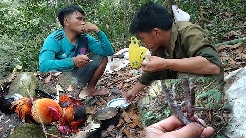 yos hav zoov dib qaib qus/6/3/2022