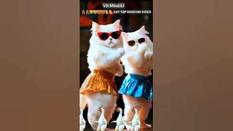 Watch the video about LOVELY AMAZING TOP FUNNY CAT DANCING VIDEO 😻😻😹😹💃💃🎉🎉😽😽😱😱💞💞#short #shorts #trending #cute #funny #cat