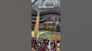 Tourists Miss THIS in Singapore – Don’t Be One of Them!