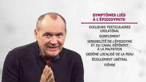 Che cosa significa orchiepididimite?