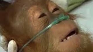 2 Seconds of FNF Songs (that are bangers) Part 32