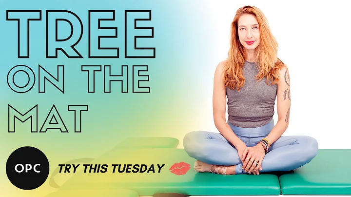 Tree on the Mat | Online Pilates Classes