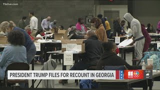President Trump files for recount in Georgia