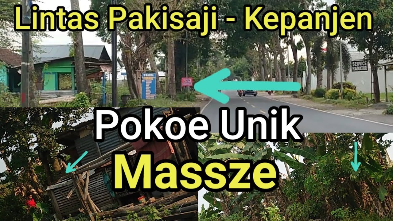 Warkop Kebun Pisang Malang.