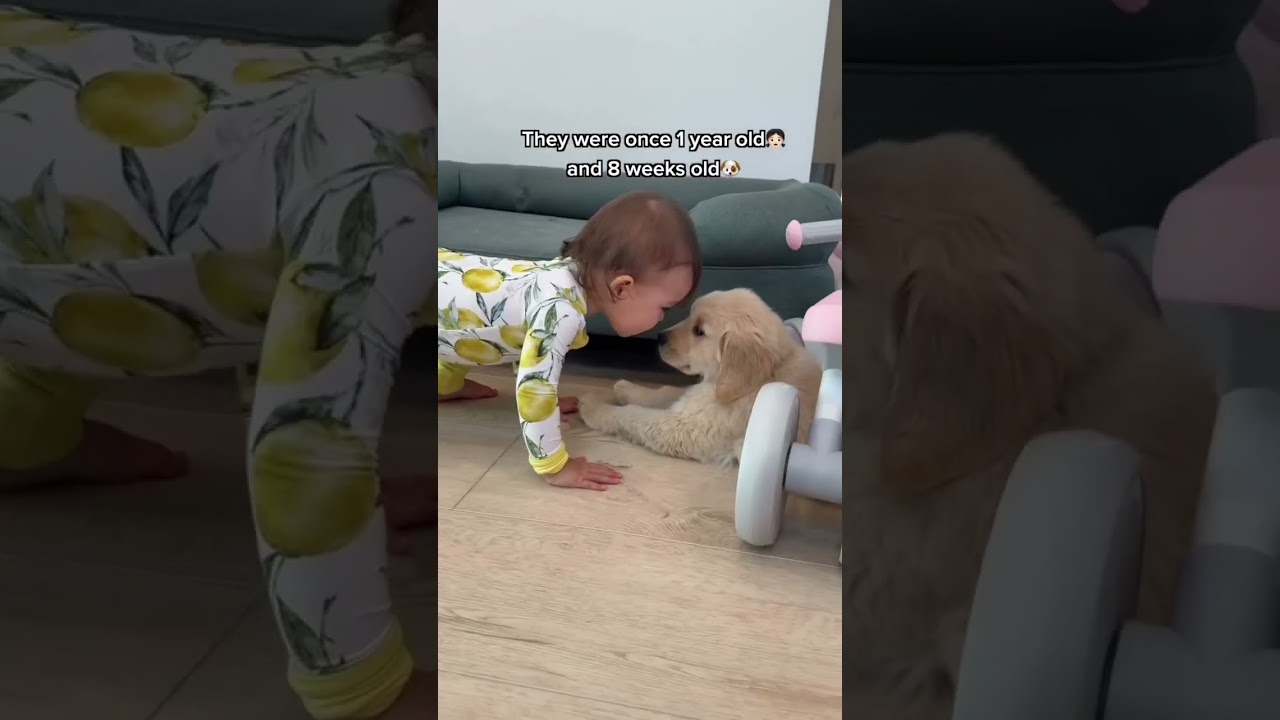 Growing up together👧🏻🩷🐶