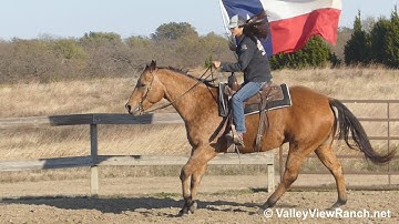 A Western Joy Ride - carrying the flag! - ValleyViewRanch.net