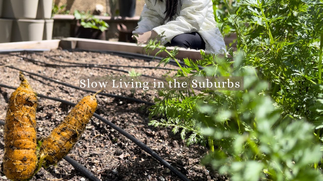DAY IN THE LIFE: SLOW LIVING AS AN URBAN HOMESTEADER | HOW GARDENING ...