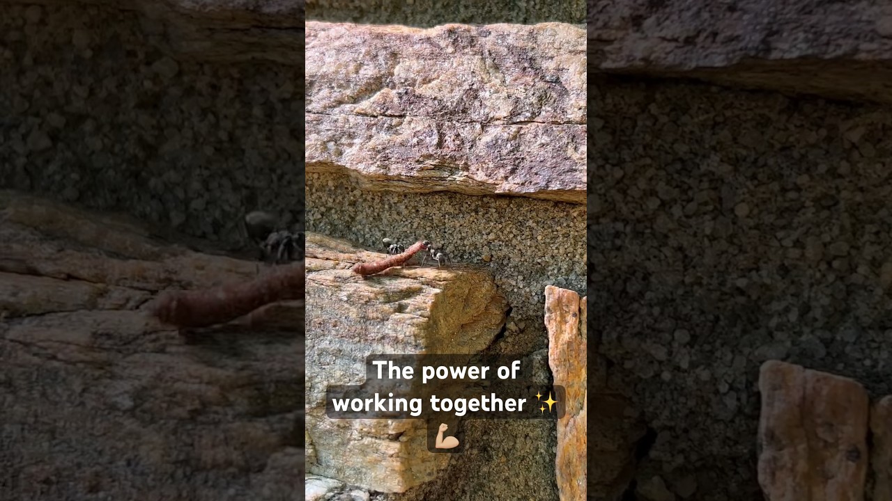 With a team you go twice as far and twice as fast 🚀✨ 