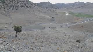 Covid 19 Imazighen Dorigine .Covid 19 . Corona .Routinier Lyawmi .Lmalal .Lhajer Sihi Rwina L9Iste A